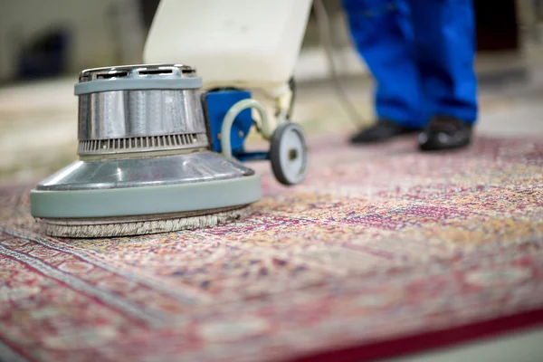 Cyrus Rug & Carpet Cleaning in Kearny NJ