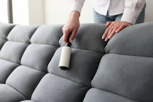 Professional Upholstery Cleaning